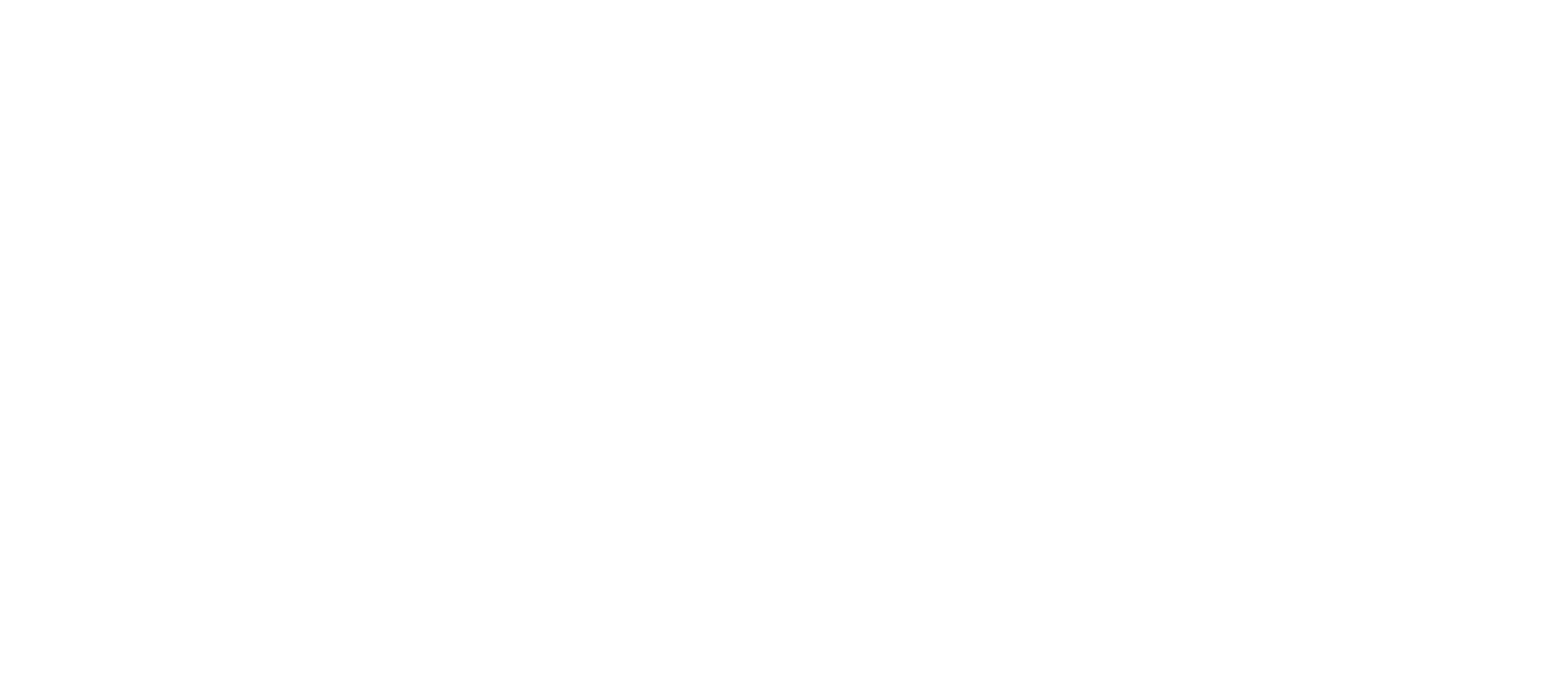Rhino Projects